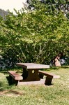 Acacia Timber Garden Bench
