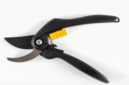 Heavy-Duty Pruning Shears
