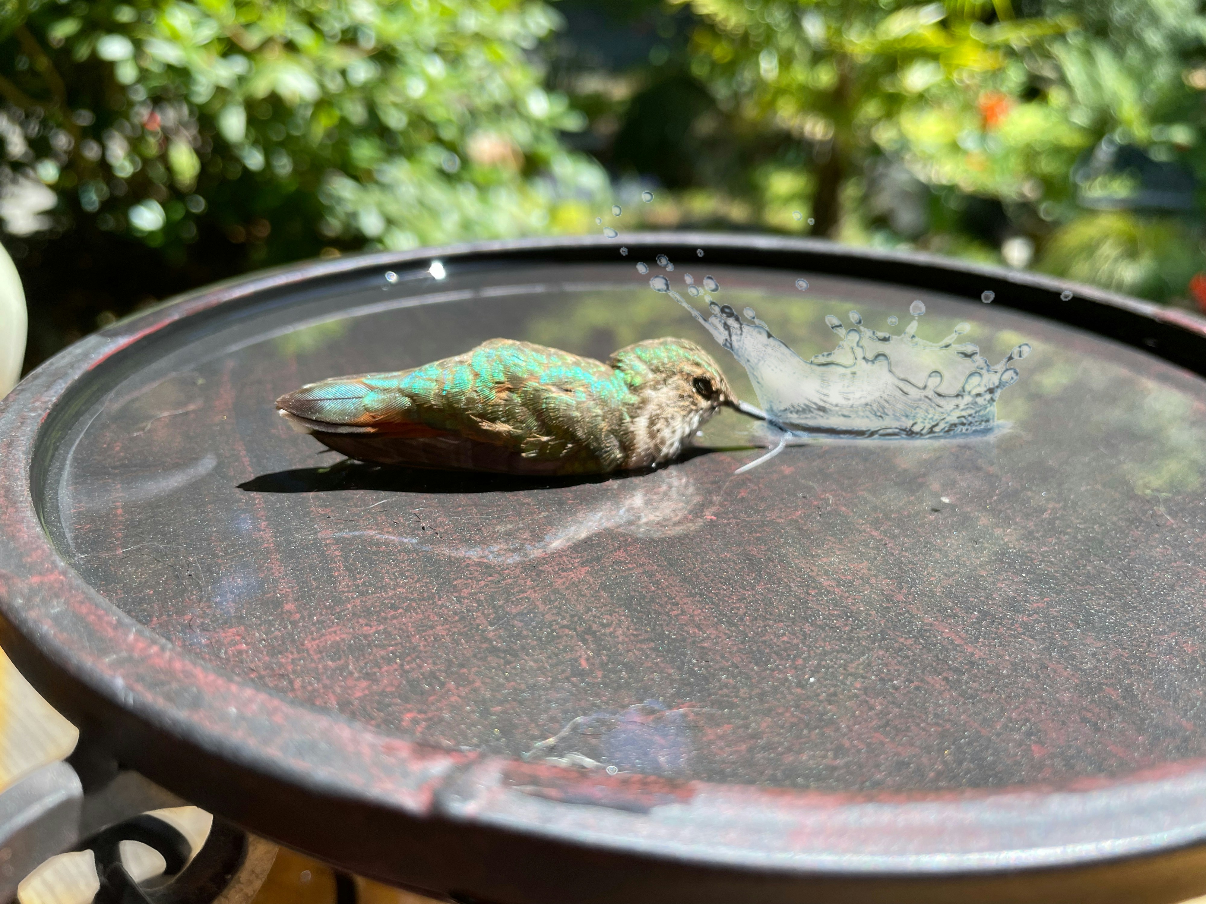 Ceramic Bird Bath (Classic White)