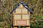 Native Bee Hotel