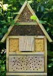 Native Bee Hotel