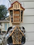 Native Bee Hotel