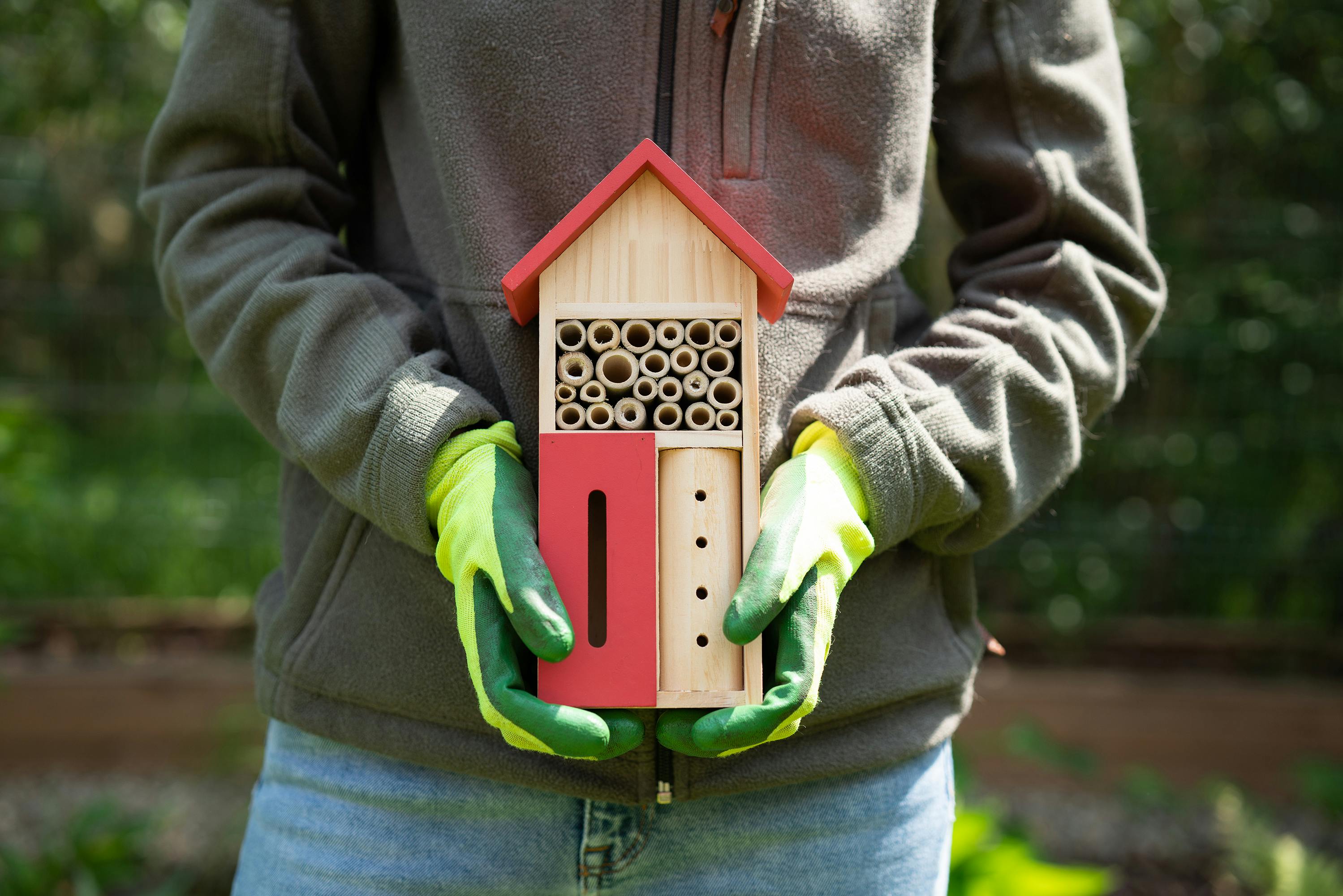 Native Bee Hotel
