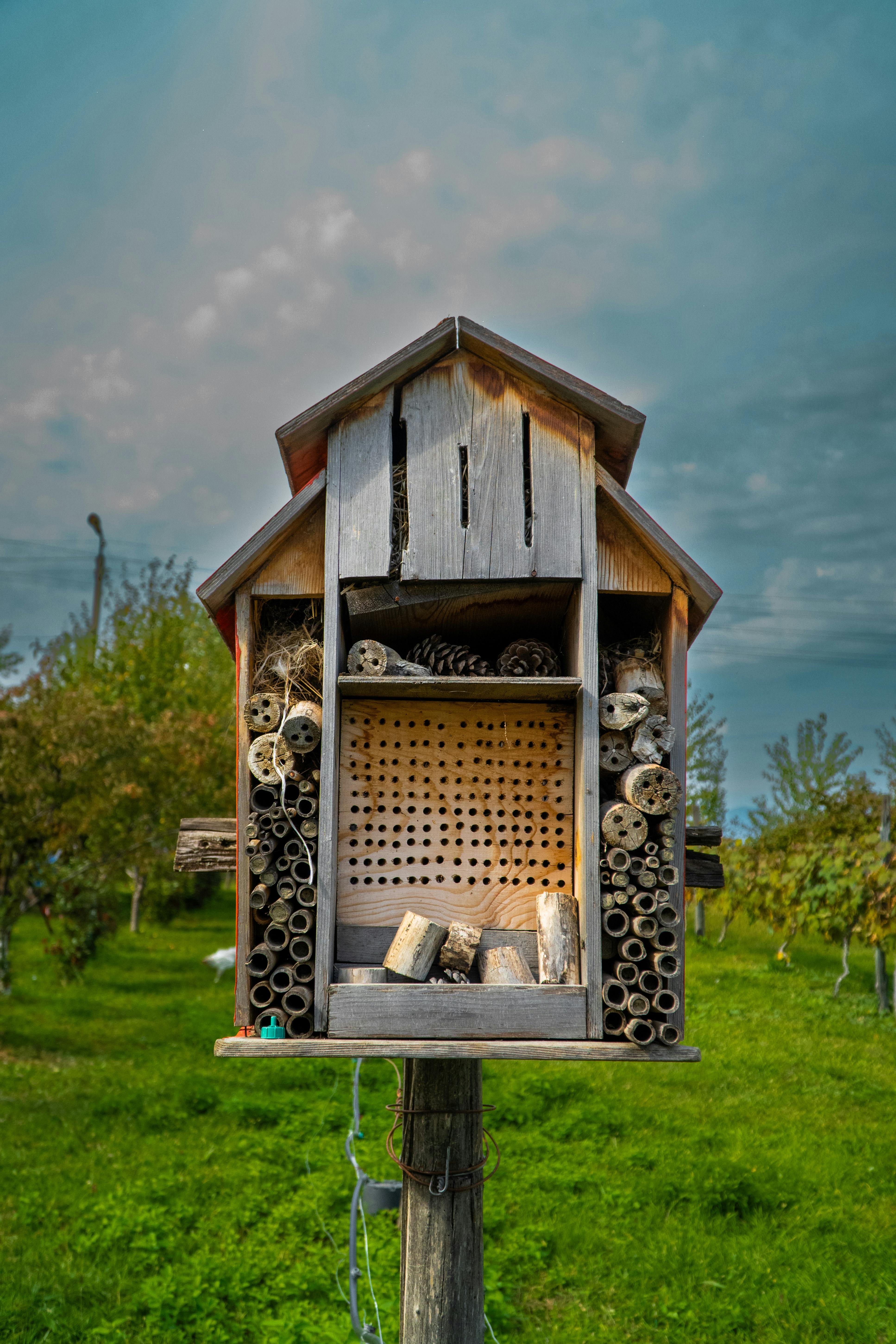Native Bee Hotel