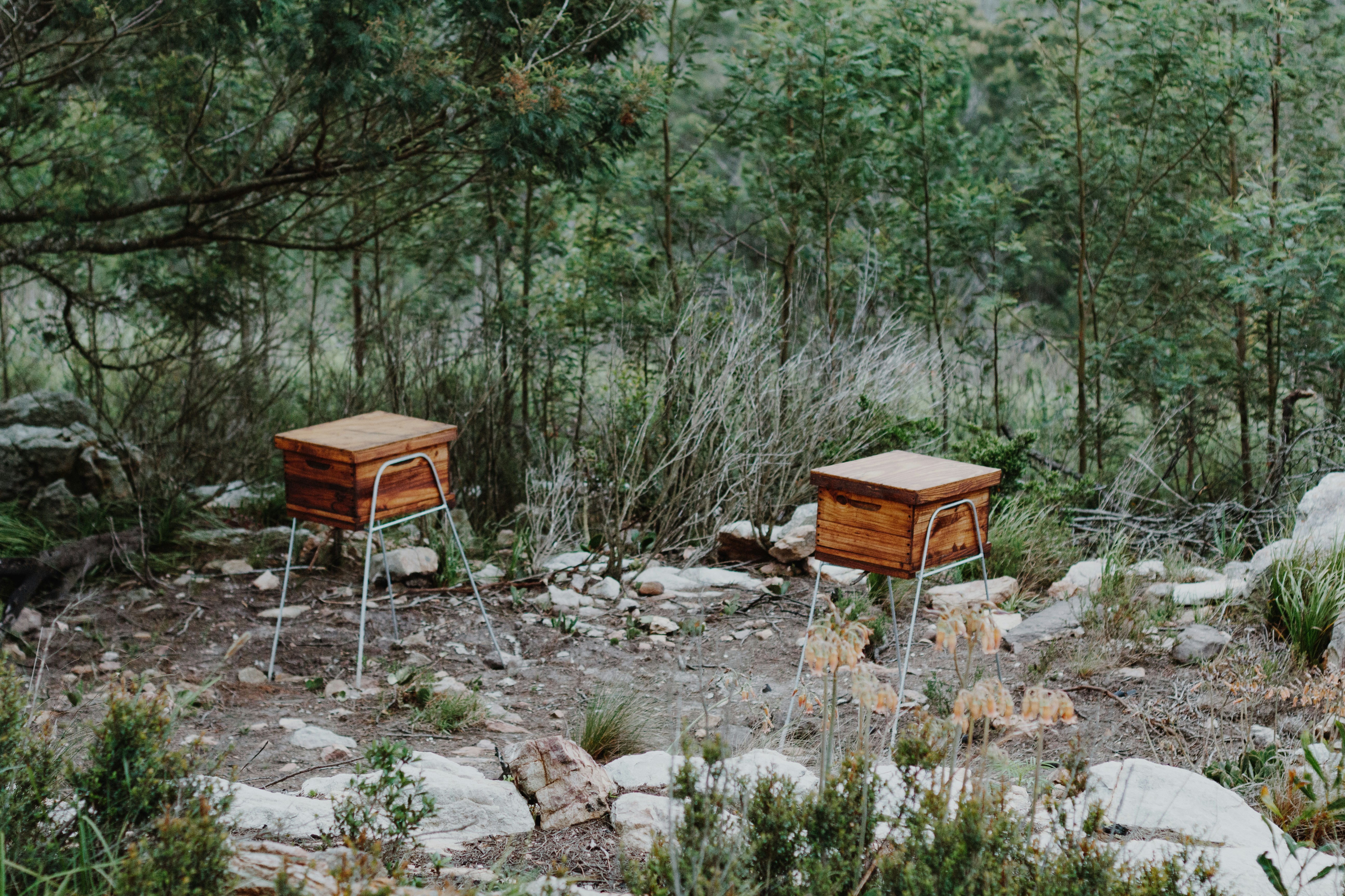 Native Bee Hotel