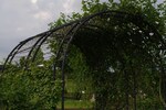 Metal Garden Arch with Planters