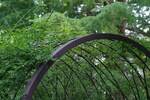Metal Garden Arch with Planters