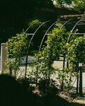 Metal Garden Arch with Planters