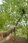 Telescopic Tree Pruner (3m Reach)