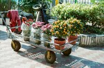 Foldable Garden Cart (120kg Capacity)