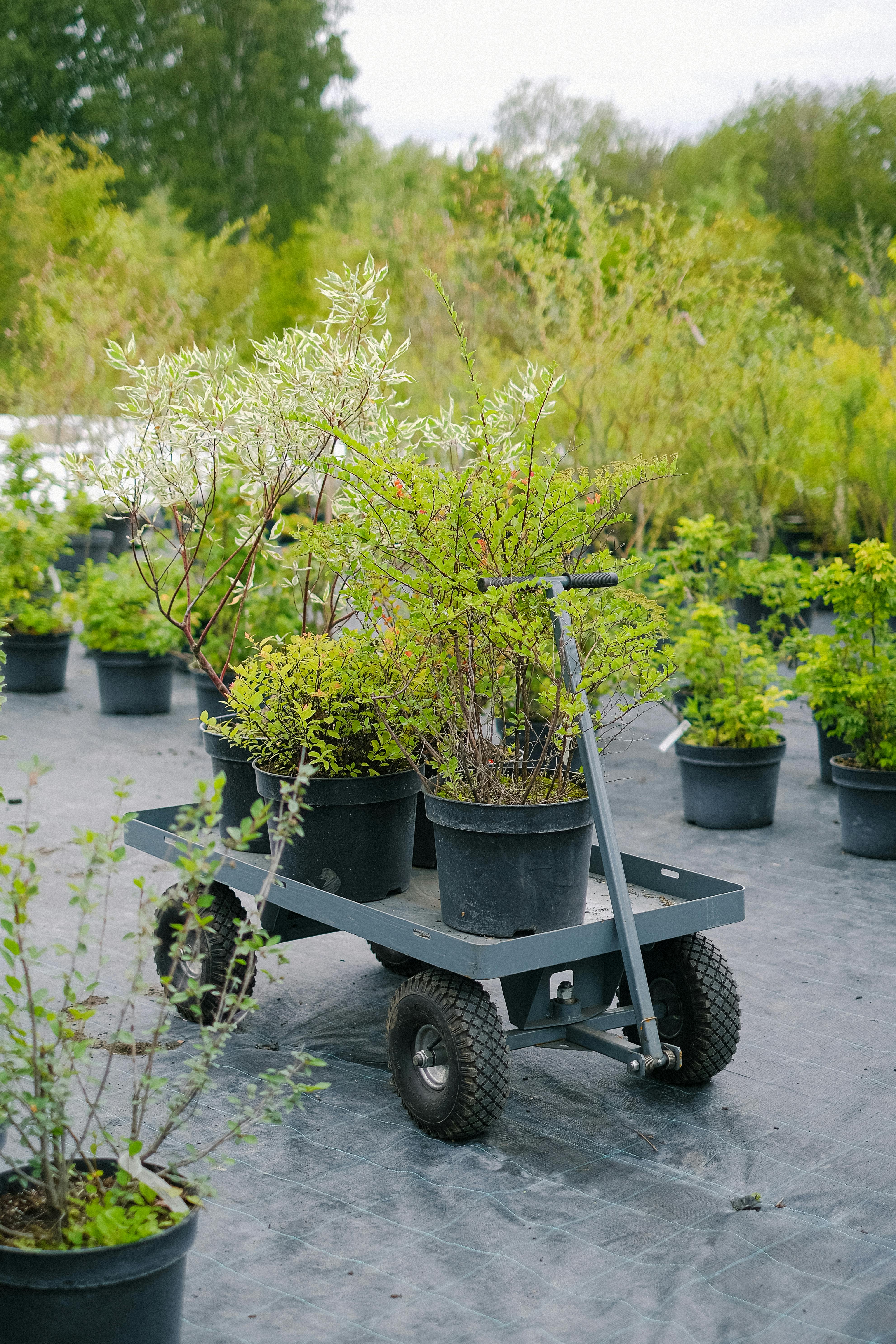 Foldable Garden Cart (120kg Capacity)