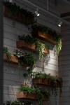 Vertical Wall Planter (5 Pockets)