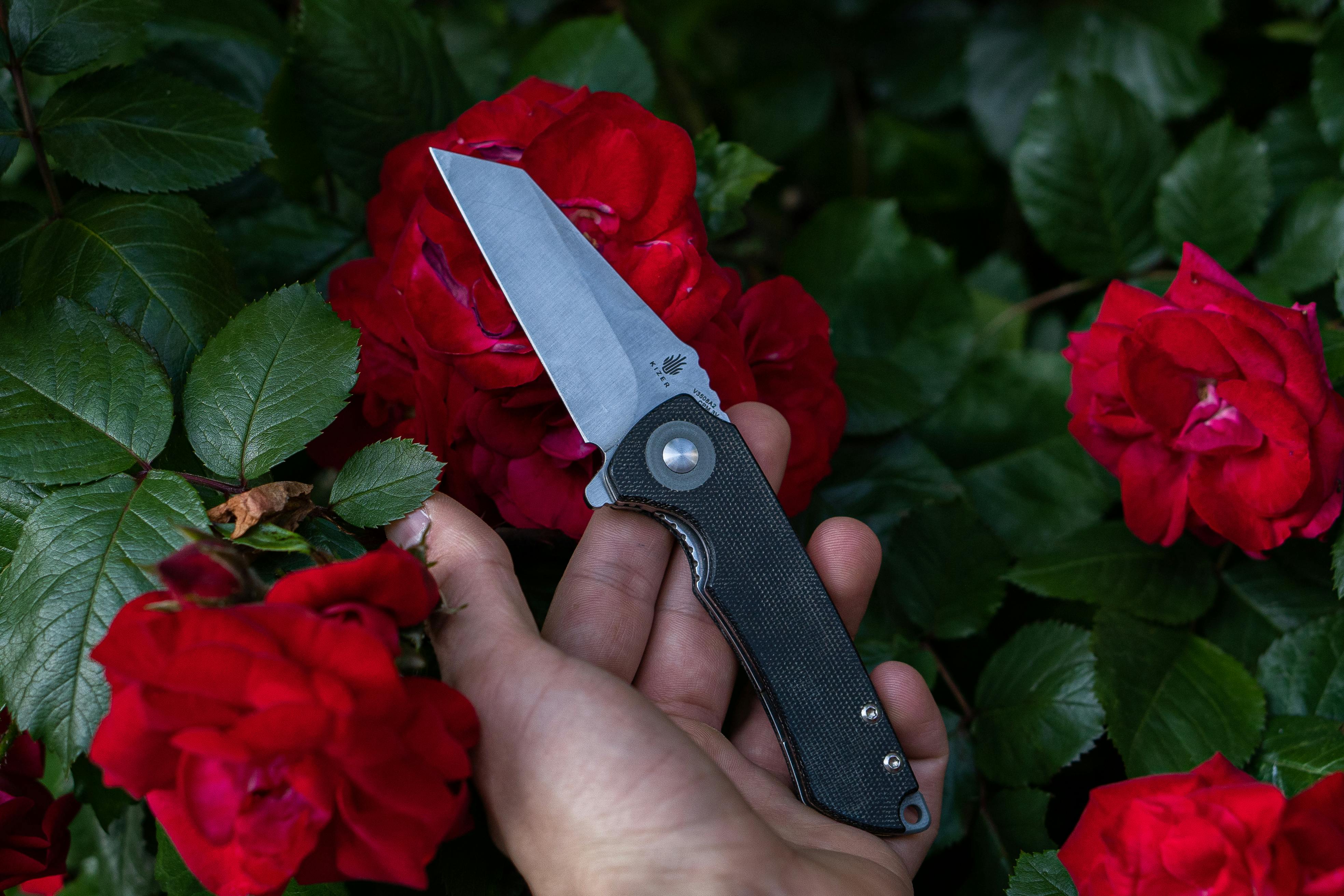 Stainless Steel Weeding Knife