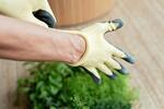 Gardening Gloves (Rubber Grip)